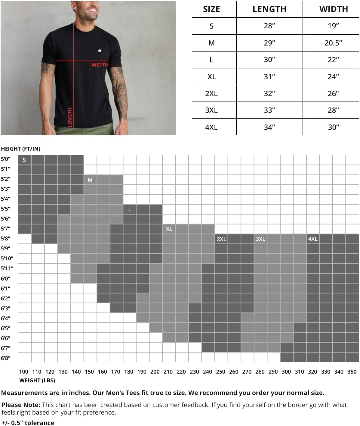 Men'S Short Sleeve Fitted T-Shirts